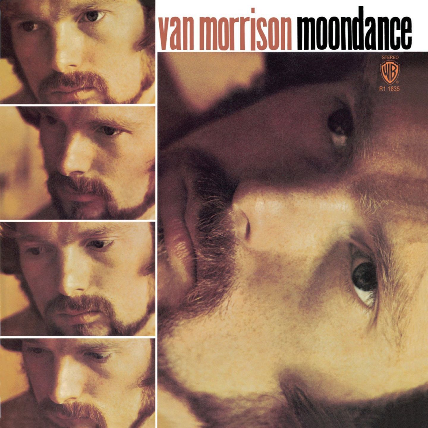 moondance